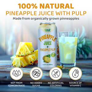 Échantillon Gratuit en Gros pour Jus de Pomme de Terre avec Pulpe 490ml en Canette Stérilisée OEM ODM Fabricant de Boissons Marque Privée Vietnam 100% - Product Image 2