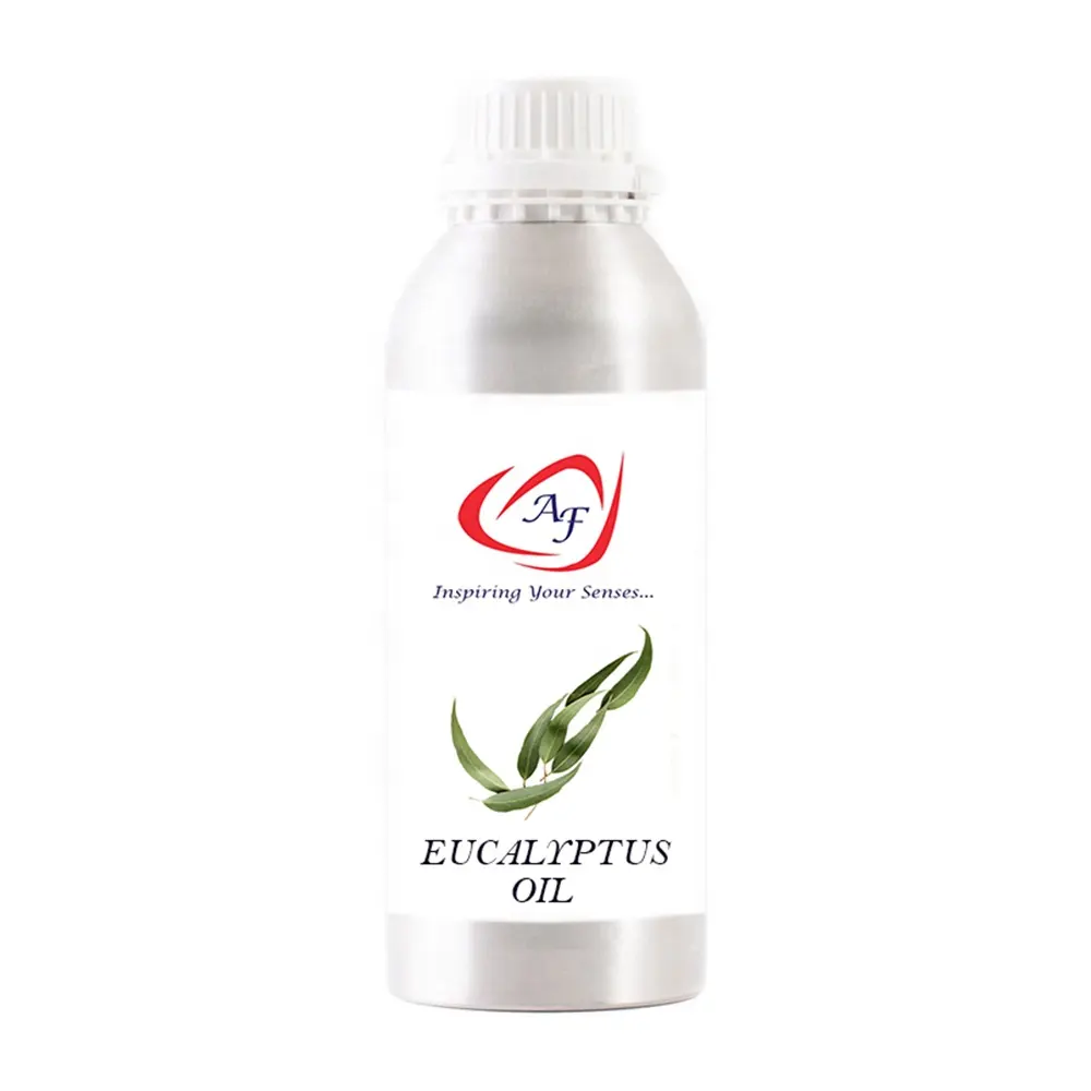 Perfurado de óleo eucalyptus globulus de vapor, com ameaça fresca, brilhante, ualicate aquático, fornecedor de óleo essencial aromático