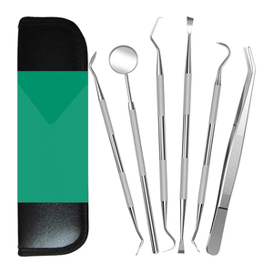Stainless Steel Dental Hygiene Kit <b>Teeth</b> <b>Cleaning</b> <b>Tools</b> Set Plaque and Tartar Remover Professional Oral Care Equipment - Product Image 2