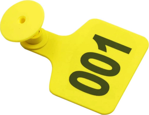 ป้ายหูพลาสติกสำหรับระบุสัตว์ ป้ายติดหูวัว ปศุสัตว์ ทุกขนาด มีให้เลือก พร้อมบริการเขียนข้อความและสีตามสั่ง - Product Image 3