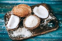 Noix de coco déshydratée en vrac, sacs de 25 kg, flocons de noix de coco pour importateurs en gros, fabricants alimentaires, boulangeries et distributeurs d'ingrédients