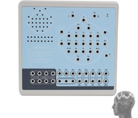 Analyseur d'électroencéphalogramme vétérinaire électrique portable certifié CE pour la surveillance de l'activité cérébrale des animaux de compagnie, diagnostic, garantie 1 an