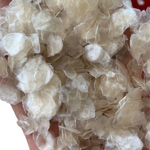 เกล็ดปลาแห้งจากปลานิล/ปลาช่อนจากเวียดนาม - Product Image 1