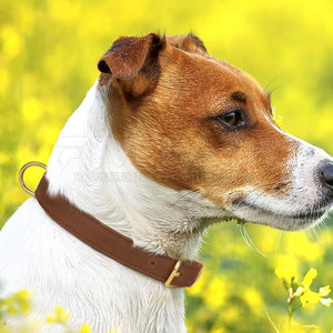 Top Selling Leather Dog <b>Collars</b> Durable Leather Dog <b>Collars</b> Comfortable Dog <b>Collars</b> For <b>Pets</b> - Product Image 4