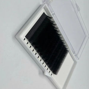 Extensiones de Pestañas de Alta Calidad, Bandejas de Pestañas 10D, Fans de Volumen Preformados 0.05mm CC Curl, Logotipo Personalizado, Marca Privada - Product Image 1