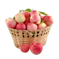 최고 품질의 신선한 사과 과일