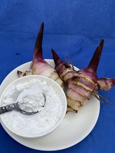 Meilleure Vente Amidon de Racine d'Arrowroot Biologique de Qualité Supérieure Goût Naturel pour Aliments et Ingrédients Conditionné en Sac Origine Vietnam - Product Image 2