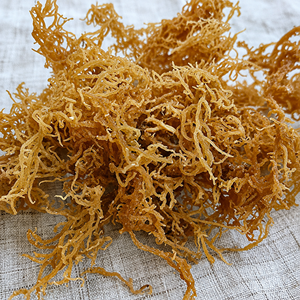 <b>Roasted</b> Yellow & Purple Laver Sea Moss in <b>Bag</b>-Wild Crafted & Sun Dried 100% Natural Vegan Superfood/ Ms.Alina - Product Image 2