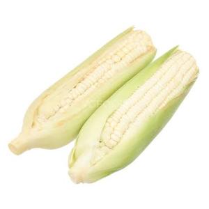 Frozen Boiled Sticky Rice Corn Whole Cob Ready to Eat Export Quality - Product Image 1