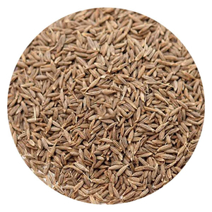 เมล็ดยี่หร่าคุณภาพพรีเมียม ขายส่งจำนวนมาก พร้อมจัดส่ง เกรดอาหาร สำหรับส่งออก - Product Image 4