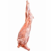 Carcasse de mouton halal fraîche surgelée IQF prête à l'exportation