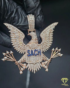 Pendentif Aigle Iced Out avec Nom Personnalisé en Argent 925, Finition Hip Hop, Diamant Moissanite, Charme d'Oiseau de Luxe - Product Image 1