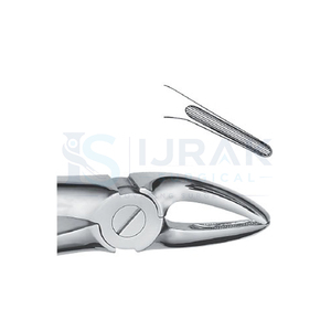 คีมถอนฟัน ฟันหน้าบน รากฟัน สแตนเลส เครื่องมือผ่าตัดแบบใช้มือ คลาส 1 - Product Image 3