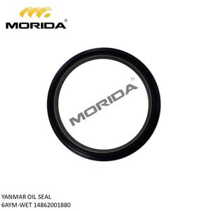 6AYM-WET 148620-13250 JOINT DE CULASSE pour YANMAR - Product Image 5