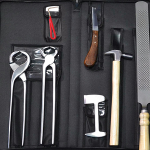 Kit de fermeur professionnel haute performance, outils de coupe de pointe. Le kit de fermeur comprend tous les instruments de sablage et de soin des sabots. - Product Image 5