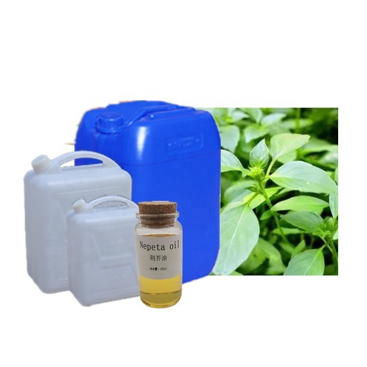 Catnip Oil Nepta Cataria Oil in
