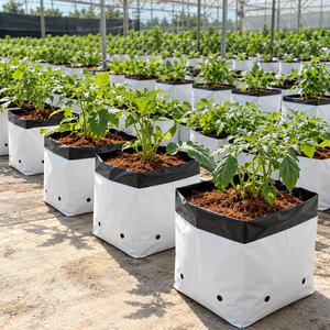 Sacs de culture ouverts Cocotronics en plastique à haute rétention d'eau, substrat de culture de plantes biodégradable et écologique pour jardin - Product Image 4