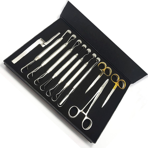 Juego de Instrumentos Dentales para Obturaciones de Composite, Herramientas Manuales Duraderas de Acero Inoxidable para Procedimientos Restaurativos Clínicos - Product Image 2