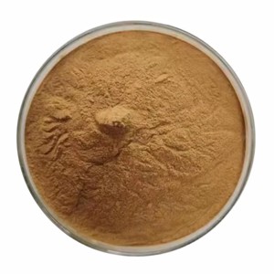 Extrait de feuille de séné pur à 100 % OEM 10:1, poudre de séné de qualité supérieure pour le soutien digestif, poudre de feuille de séné moulue finement de qualité alimentaire - Product Image 3