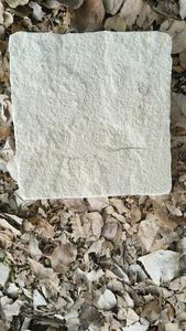 Adoquines de Arenisca Blanca Menta - Diseño Moderno para Aplicaciones en Villas - Product Image 3
