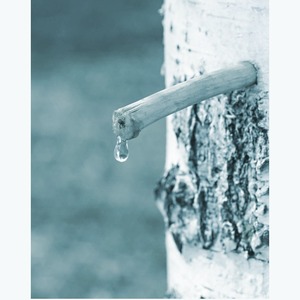 Senite Happy Korea Birch Sap Amino Acids 15pcs Cleanser K-Beauty K-Wipes pour un nettoyage efficace - Product Image 3