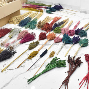 Herbe de Munni séchée naturelle en gros, écologique, décoration intérieure/extérieure, salon, haute qualité, prix d'usine - Product Image 2