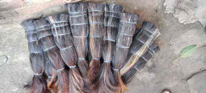 Cepillo de Pelo Natural de Vaca Pulido, Estilo Animal, para el Cuidado del Cabello, en Venta - Product Image 3