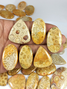 Natural Fossil Coral Loose Gemstone 20-35mm Yellow Mix Shapes for Jewelry Designing Wholesale Price - Product Image 2