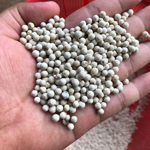 POIVRE BLANC DU VIETNAM EN GROS POUR L'EXPORTATION BONNE QUALITÉ MEILLEUR PRIX - Product Image 1