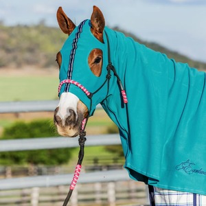 Manta para Caballo, Manta Clásica Ecuestre 1600D, Manta para Caballo de Establos con Correas, Equipo Ecuestre de Alta Calidad - Product Image 4