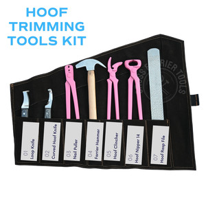 Kit d'outils de fermeur avec pince à sabots rose, pince à clous courbée, tire-clous, marteau de fermeur, râpe, lime, boucle noire et couteau à sabots - Product Image 3