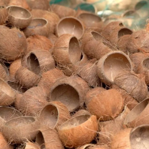 Coques de noix de coco brutes broyées d'Inde |   Note A |   Faible humidité |   Chaleur intense et faible teneur en cendres |   Durée de conservation de 3 ans |   Charbon de bois en vrac pour barbecue - Product Image 5