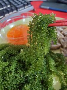 สาหร่ายโนริอบไอน้ำสด ฟรีซดราย ขนาด 20-40 ซม. อุดมด้วยความชุ่มชื้น บรรจุภัณฑ์สุญญากาศ คุณภาพเยี่ยมจากเวียดนาม อายุการเก็บรักษา 12 เดือน 99 GD - Product Image 3