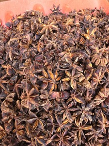 [Keith Vilaconic] Anís Estrellado Vietnamita Premium - Anís Estrellado Entero Seco Natural de Alta Calidad, Venta al por Mayor, 2 Años de Duración - Product Image 2