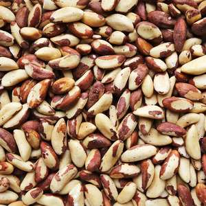 Nueces de Brasil Crudas de Primera Calidad al por Mayor, Envasadas al Vacío, 100% Precio Económico - Product Image 3