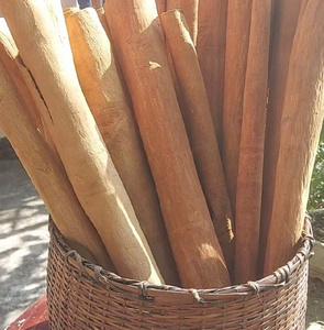 Cassia Yen Bai de Vietnam, Premium, Sin OMG, en Barra, Seca, Cruda, de 35-50 cm, Alta Calidad, IIGLOBAL JSC, Vida Útil de 18-24 Meses para Alimentos - Product Image 1