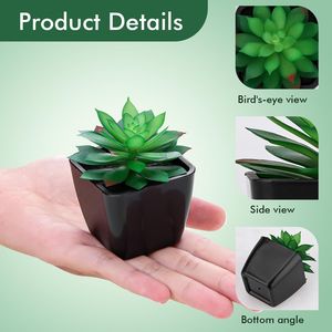 Set di 6 Piccole Piante Succulente Artificiali Realistiche in Vasi Neri per Decorazione Ufficio, Scrivania, Camera da Letto, Piante Finte per Decorazioni Casa - Product Image 2