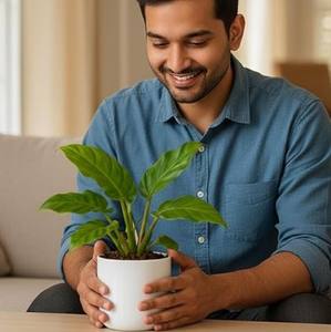 Maceta Metálica Moderna en Miniatura para Decoración de Sala de Estar y Mesa, Elegante Maceta Pequeña para Interiores, Maceta Decorativa de Metal I - Product Image 6