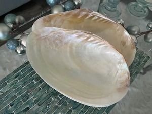 Wholesale Supply <b>Mother</b> of Pearl Bowl Handmade Shell Mosaic Decorative Bowl for Home Decor Hotel and Restaurant for Sale - Product Image 5