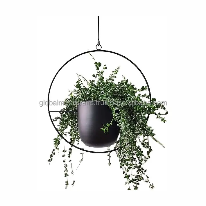 Jardinière en métal noir, jardinière suspendue au mur et au plafond en métal, jardinière minimaliste moderne pour décoration intérieure et extérieure