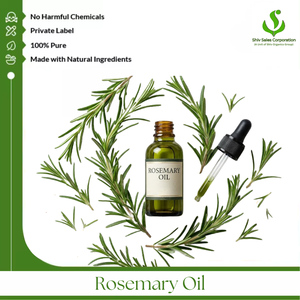 Exigences de l'industrie de la beauté : Grossiste professionnel d'huile essentielle de romarin offrant des solutions d'approvisionnement en vrac de qualité supérieure pour les cosmétiques - Product Image 1