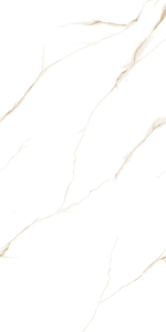 Vente directe d'usine, carreaux de sol en granit 600x1200mm super polis pour salle de banquet. - Product Image 3