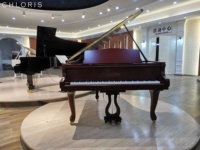 Nouveau Design Ancien Noyer Acajou Mat Piano à Queue Sculpté SG186M