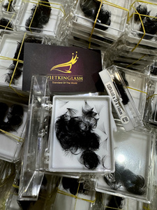 Pestañas Postizas Personalizadas 14D 12D Mega Volumen, Kit de Extensiones de Pestañas Hechas a Mano con PBT Sintético Coreano, Marca Privada, Pestañas Individuales - Product Image 6
