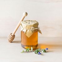 Cuillère à sirop d'érable élégante et moderne, faite à la main, jetable, en bois écologique, pour le miel, le thé et le café, prix réduit