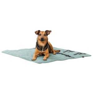 CityStyle 80 X 80 cm Sage Travel <b>Blanket</b> <b>Pet</b> Backseat Cover - Product Image 1