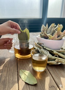 Hojas de guanábana secas 100% naturales para té - Product Image 3