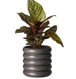 Modern Black Ribbed Metal Planter Decorative Flower Pot Stylish Indoor Plant Vase Luxury Home Decor Contemporary Planter TRENDY - Product Image 1