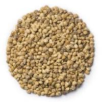 Graines d'épinards hybrides F1 ZA - Haute Rendement, Emballage en Sacs Poly, Durée de Conservation Stable, Usage Agricole, Prix Abordable