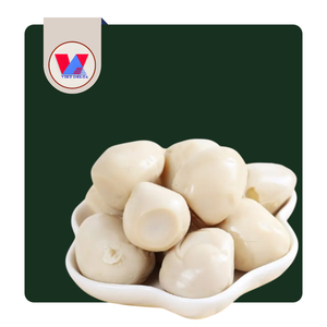 HUEVOS DE CODORNIZ EN SALMURAS ENLATADOS Clean Choice 425g, HUEVOS DE CODORNIZ PELADOS ENLATADOS, PREPARACIÓN RÁPIDA PARA SOPAS ASIÁTICAS Y RESTAURANTES DE HOT POT - Product Image 1